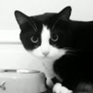 Meet your Posher, Chloe